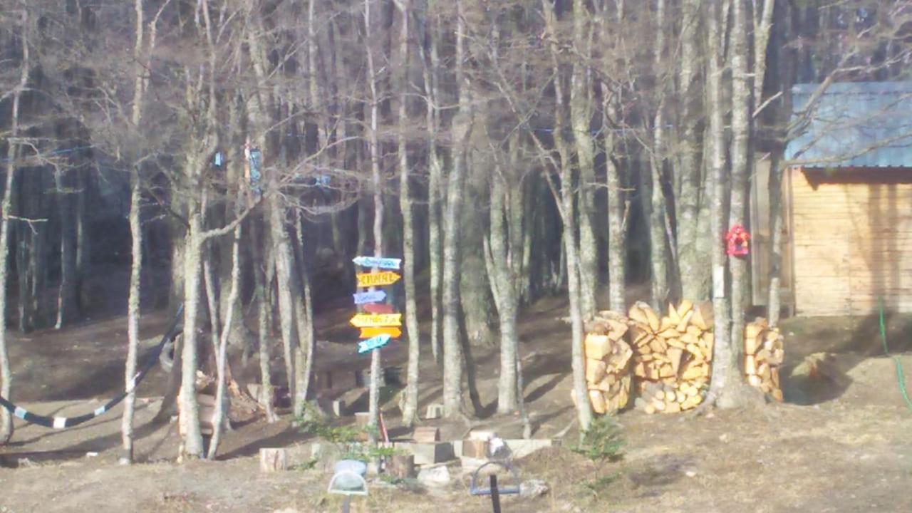 Camping La Encantada อูซัวยา ภายนอก รูปภาพ